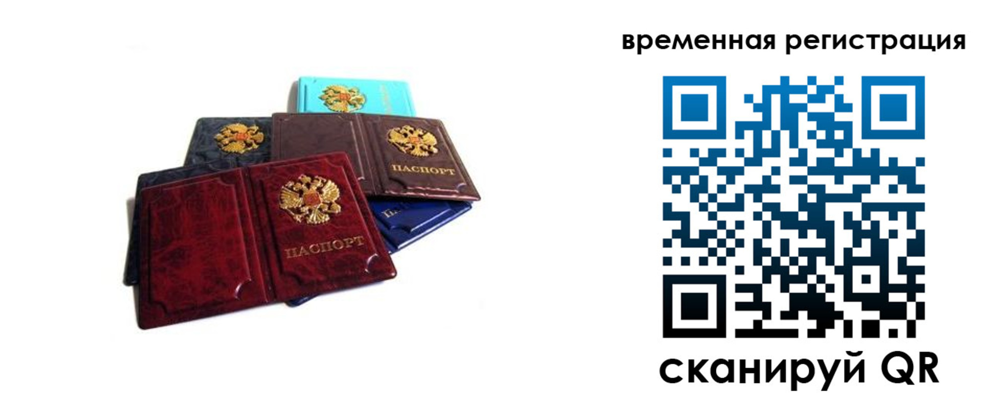 прописка гарантия в Петровске